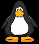 Sample 5 – Penguin