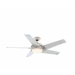 Sample 5 – Ceiling fan
