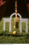 Sample 3 – Croquet ball