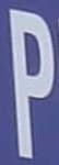 Sample 6 – P capital letter