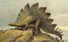 Sample 4 – Stegosaurus