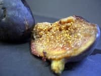 Sample 6 – Fig