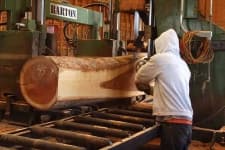 Sample 4 – Lumbermill