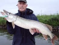 Sample 2 – Barracouta