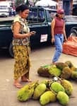 Sample 3 – Jackfruit