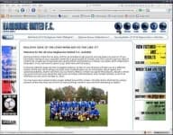 Sample 1 – Web site