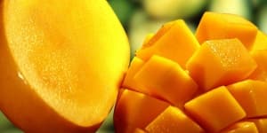 Sample 3 – Mango