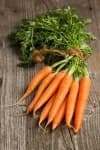 Sample 3 – Carrot