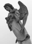 Sample 2 – Angel