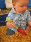 Sample 4 – Corn