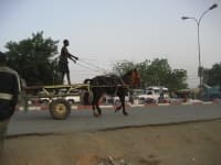 Sample 2 – Horse cart