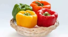 Sample 6 – Capsicum