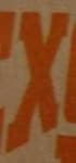 Sample 3 – X capital letter
