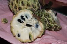 Sample 5 – Custard apple