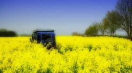 Sample 20 – Jeep car