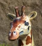 Sample 6 – Giraffe