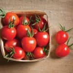 Sample 2 – Tomato