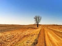Sample 5 – Prairie