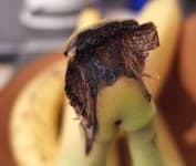 Sample 6 – Banana