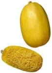 Sample 2 – Spaghetti squash