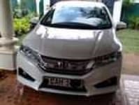 Sample 4 – Grace car
