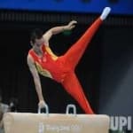 Sample 2 – Pommel horse
