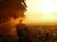 Sample 5 – Sunrise