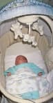 Sample 1 – Bassinet