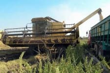 Sample 3 – Harvester