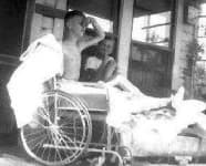 Sample 1 – Wheelchair