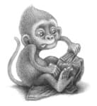 Sample 3 – Monkey