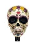Sample 1 – Skull