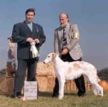 Sample 2 – Borzoi