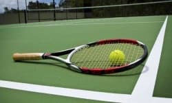 Sample 2 – Tennis racquet