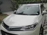 Sample of Axio car