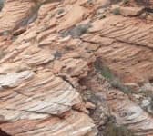 Sample 4 – Stratified