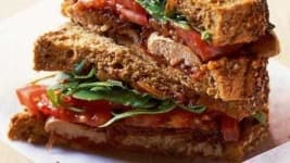 Sample 1 – Sandwich