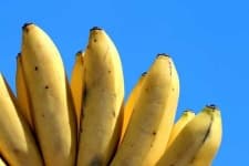 Sample 2 – Banana