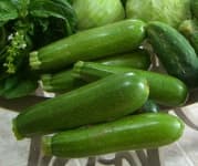 Sample 6 – Zucchini