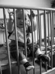 Sample 4 – Crib