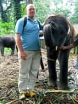 Sample 1 – Indian elephant