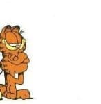Sample 3 – Garfield
