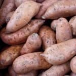 Sample 3 – Sweetpotato