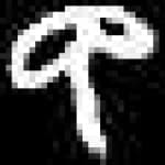 Sample 2 – Wa amharic