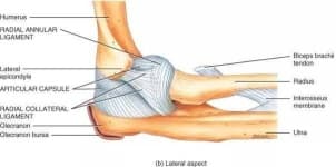 Sample 5 – Elbow