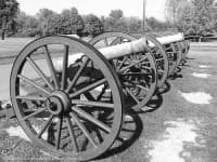 Sample 1 – Cannon