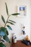 Sample 3 – House plant