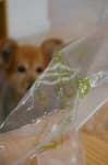 Sample 2 – Plastic bag