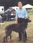 Sample 4 – Scottish deerhound