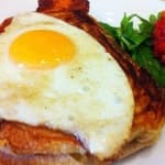 Sample 5 – Egg